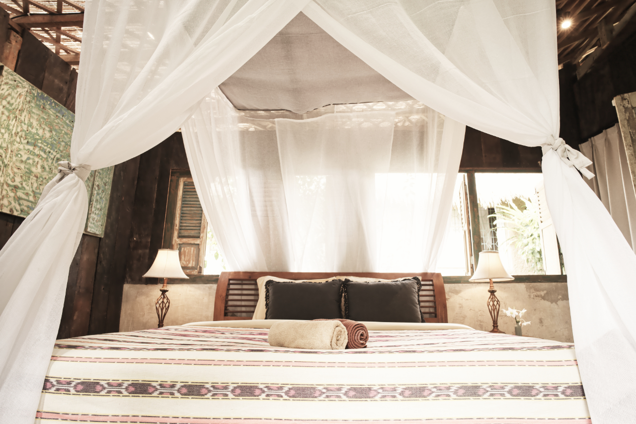 BOHEMIAN - Image 2