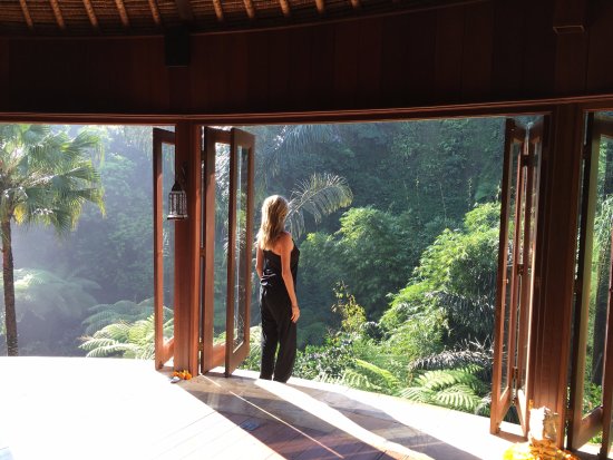 the-view-from-the-yoga